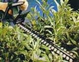 http://articulos.infojardin.com/articulos/fotos-6-labores-basicas/poda-seto.jpg