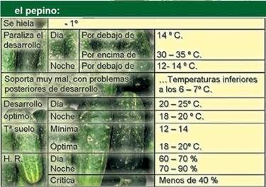 onografias.com