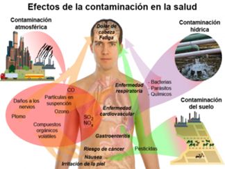 fecto en la salud