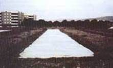 http://articulos.infojardin.com/huerto/fotos-semillas-semilleros/solarizacion-2.jpg