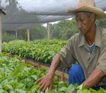 ecnología para productores mayores 