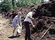 http://articulos.infojardin.com/trucos/Imagenes_nov/Abonos/compost_montana.jpg