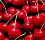 http://www.frutas-hortalizas.com/img/fruites_verdures/5a.jpg