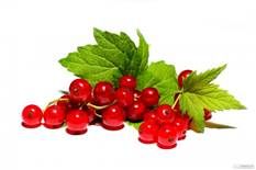 http://www.torange-es.com/photo/32/16/grosella-roja-madura-en-aislamiento-1410767904_34.jpg