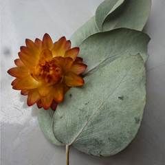 http://1.bp.blogspot.com/-KSV_qO4aKLk/VFAl1ltBeuI/AAAAAAAAANE/6lLes_Uxx1k/s1600/P1030206.JPG