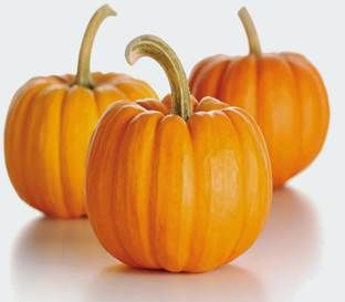 http://4.bp.blogspot.com/-OIJSEY8RHms/VQr3_CQJOcI/AAAAAAAAIZQ/9jkKg_p_N3U/s1600/cultivar-calabaza-ecohortum.jpg