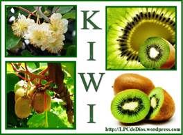 IWI CLWS Spanish