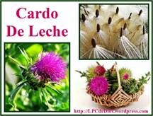ardo de leche LPCdeDios