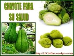 hayote LPCdeDios