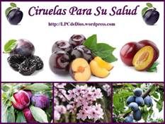iruelas LPCdeDios