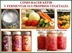 limentos Fermentados CLWS