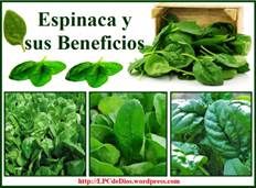 spinaca lpcdeDios