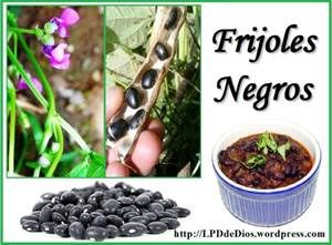 rijoles negros LPCdeDios