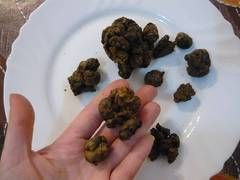 ropóleos