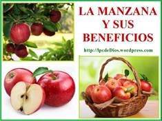 anzana LPCdD