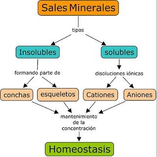 https://sites.google.com/site/ampliabiogeo/_/rsrc/1268474586834/bioqui/las-biomoleculas/las-sales-minerales/sales_minerales.jpg?height=319&width=320