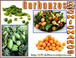 Garbanzo LPCdeDios