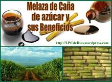 elaza para tu salud