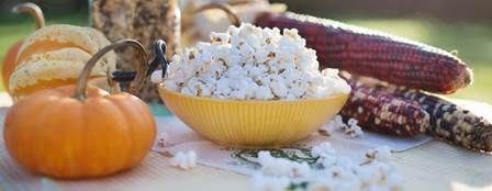 http://cdna.labioguia.com/images/articles/568d3f48afc6c_crop.jpeg