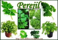 erejil
