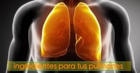 ulmones