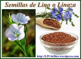 inaza LPCdeDios