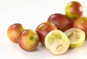 amu camu
