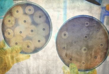 acterias Campylobacter
