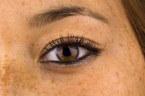 http://cdna.labioguia.com/images/articles/569010d78f7cc_crop.jpg