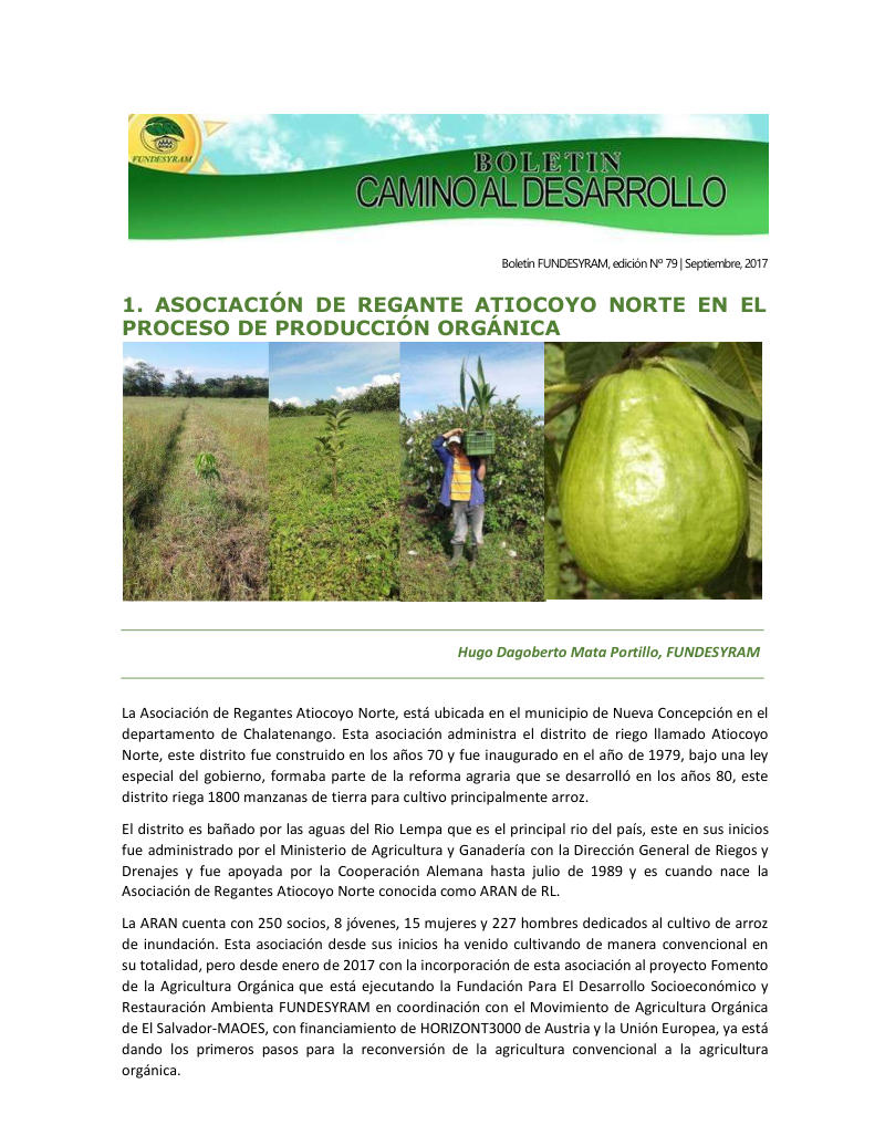 Portada de 11