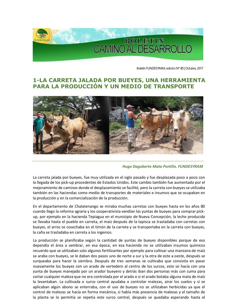 Portada de 14