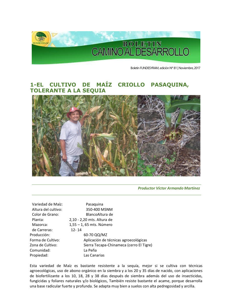 Portada de 16