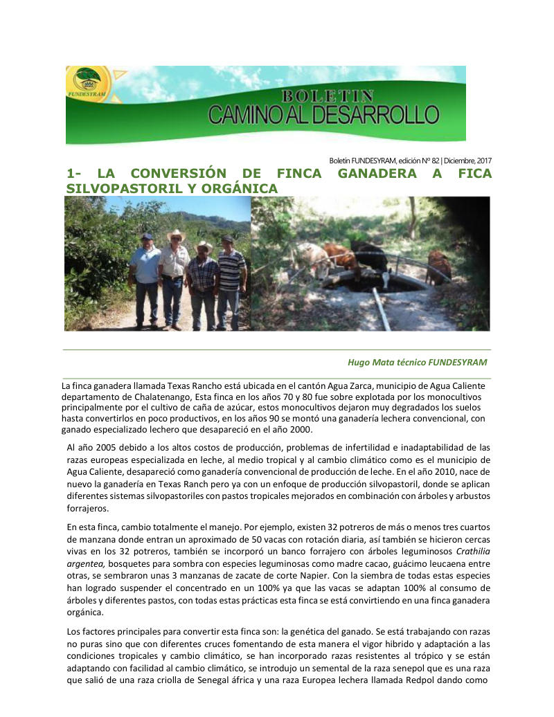 Portada de 17