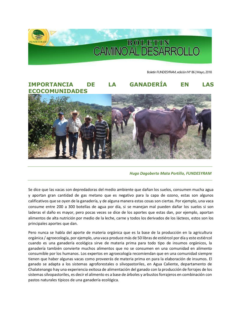 Portada de 26