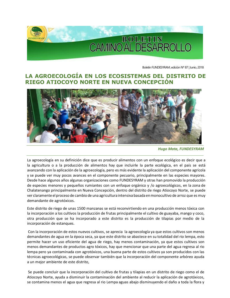 Portada de 28