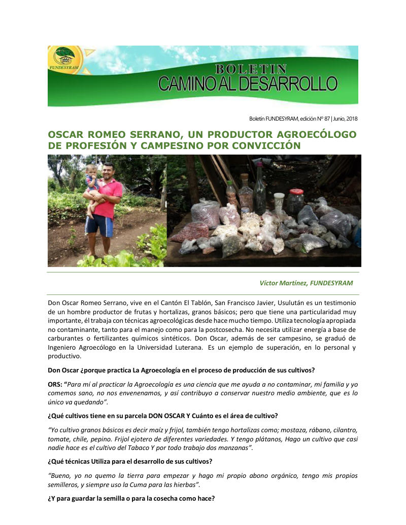 Portada de 29