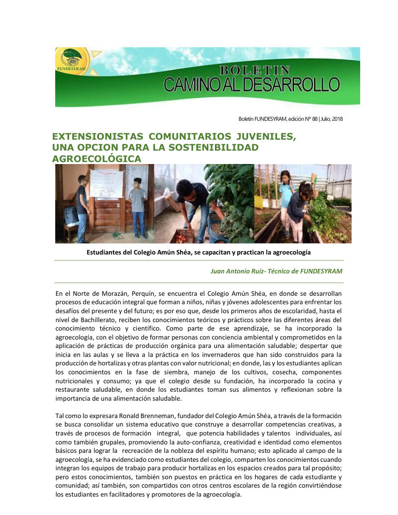 Portada de 31