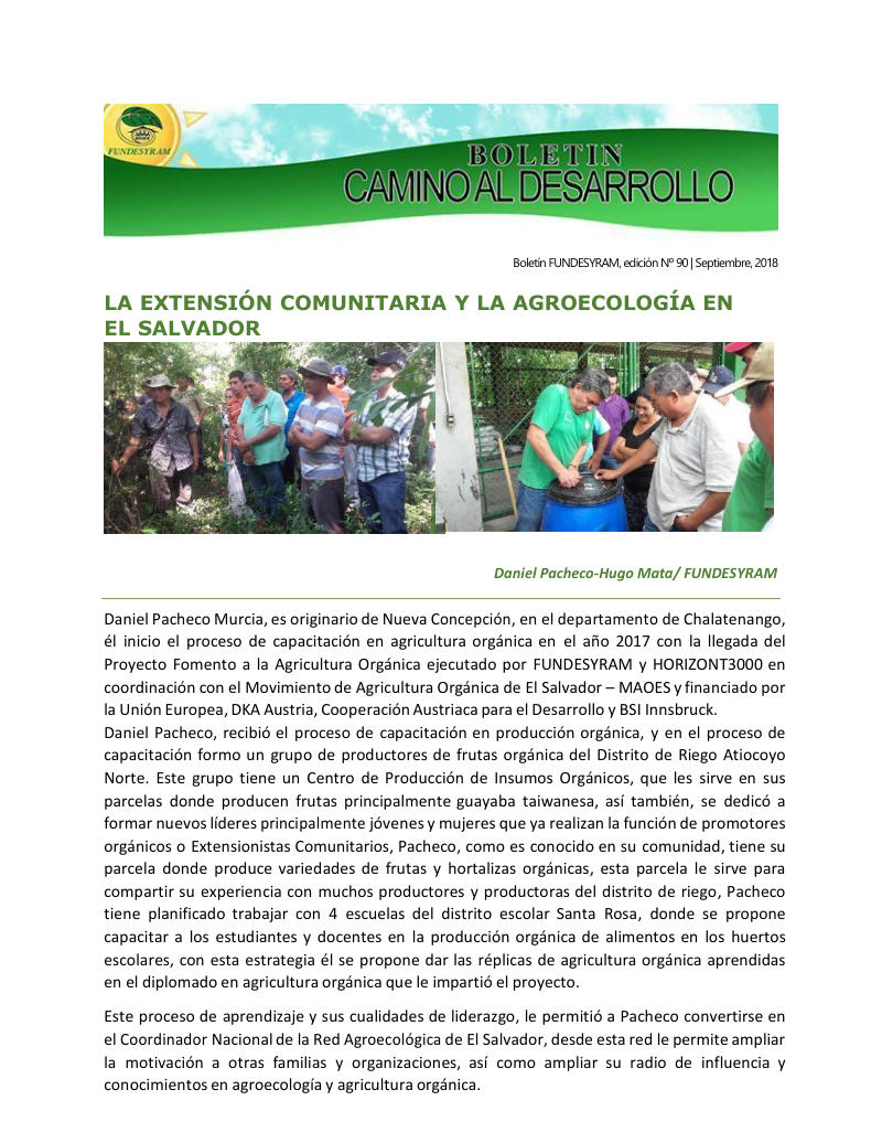 Portada de 41