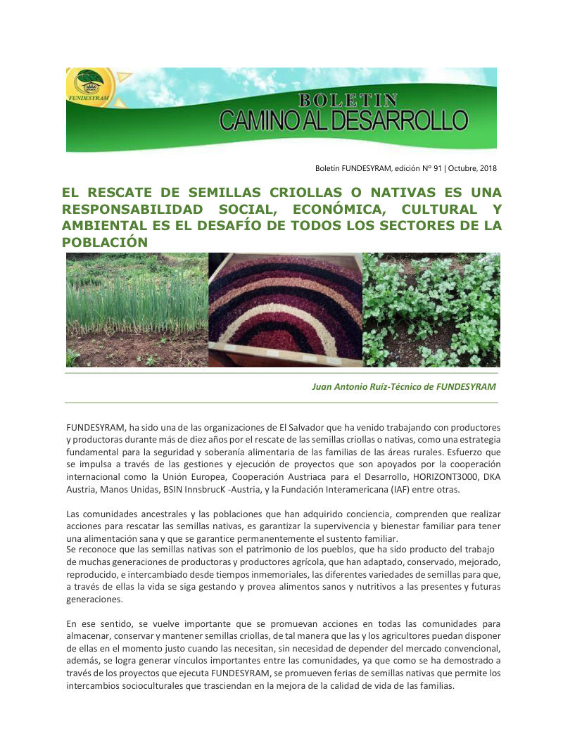 Portada de 43