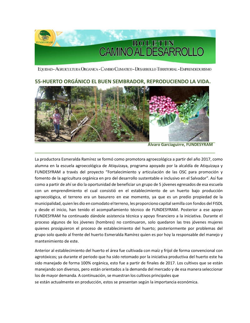 Portada de 55 y 56