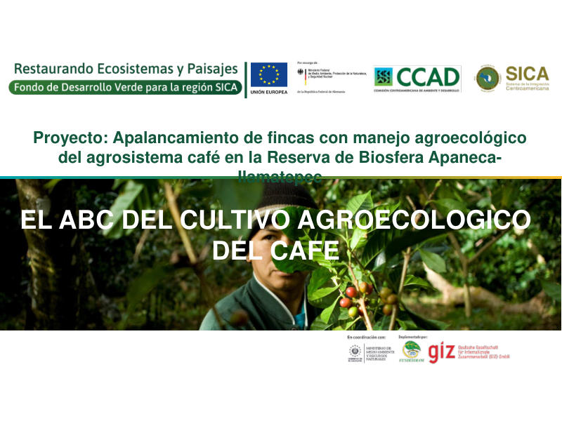 Portada de ABC del café