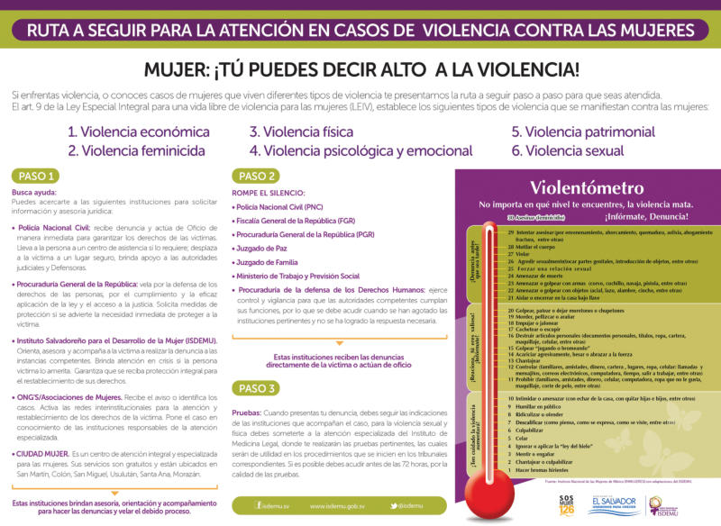 Portada de Afiche ruta de atenion