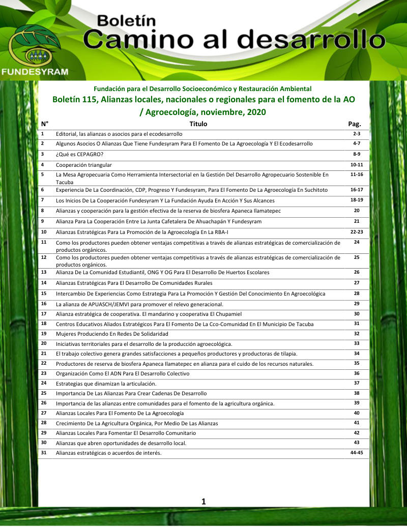 Portada de Alianzas locales, nacionales o regionales para el fomento de la AO / Agroecología, noviembre 2020