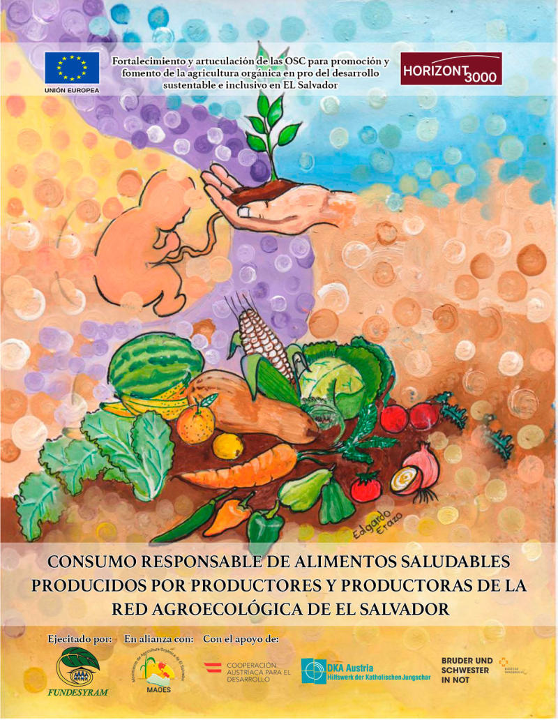 Portada de CONSUMO SALUDABLE