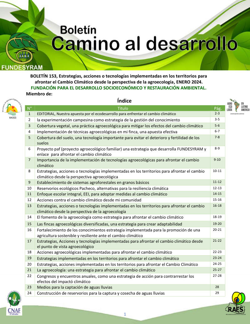 Portada de E strategias, acciones o tecnologías implementadas en los territorios, enero 2024