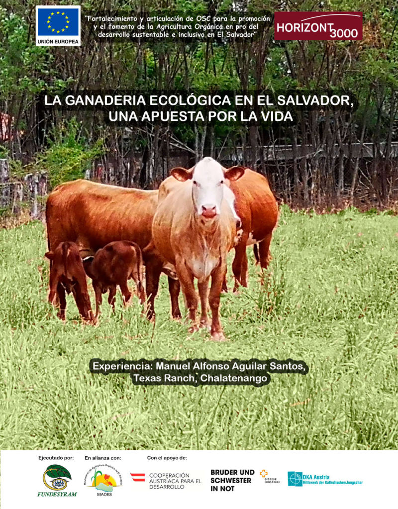 Portada de GANADERIA ECOLÓGICA