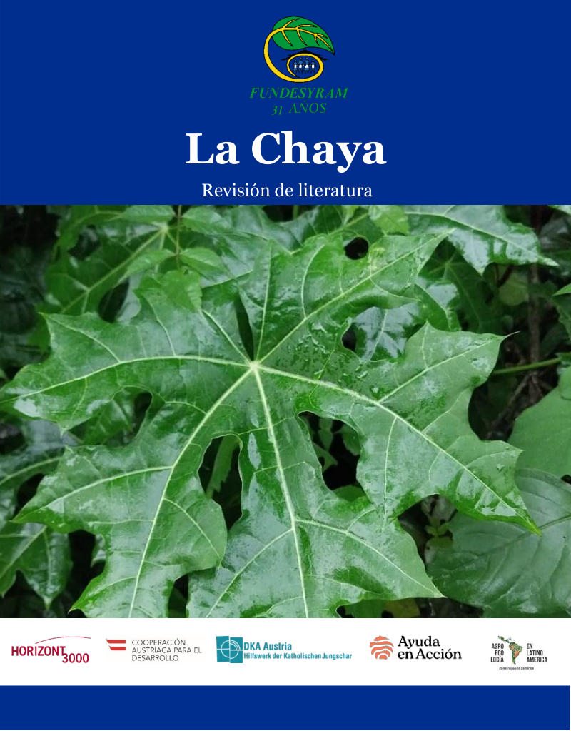 Portada de LA CHAYA