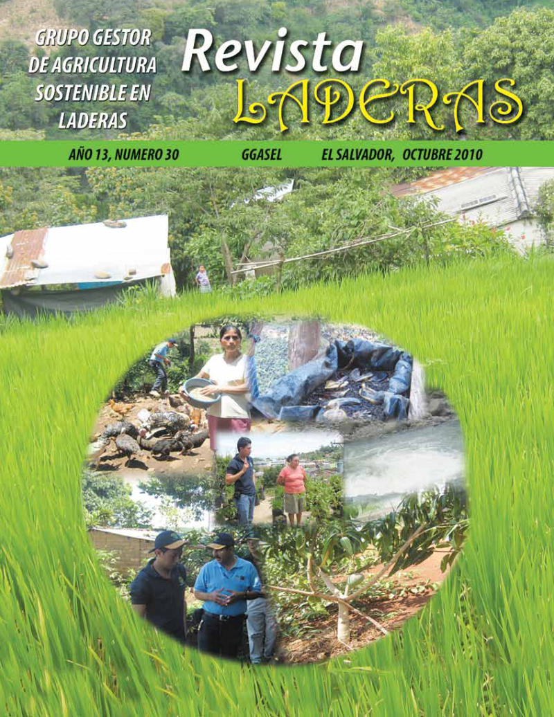 Portada de laredas1