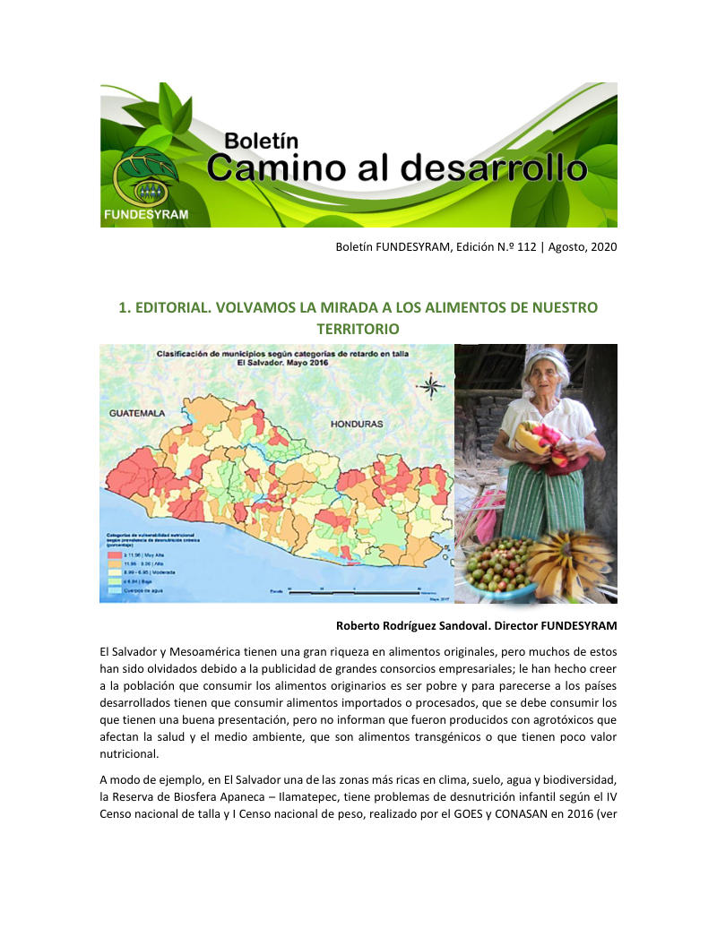Portada de Las plantas olvidadas que se usan para la alimentación y salud humana o animal, agosto 2020