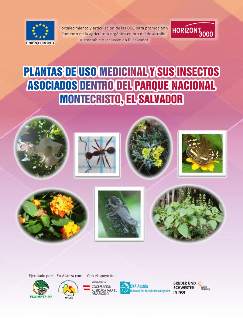 Portada de PLANTAS DE USO MEDICINAL